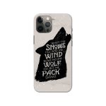 House Of Stark Printed Slim Hard Phone Case